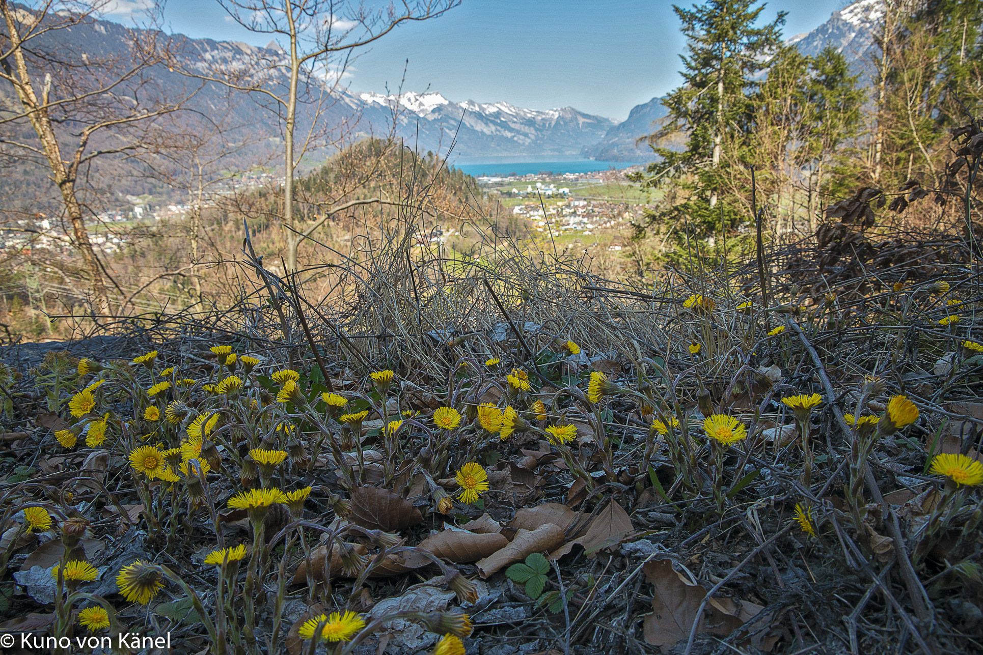 Blick vom Grossen Rugen Richtung Brienzersee